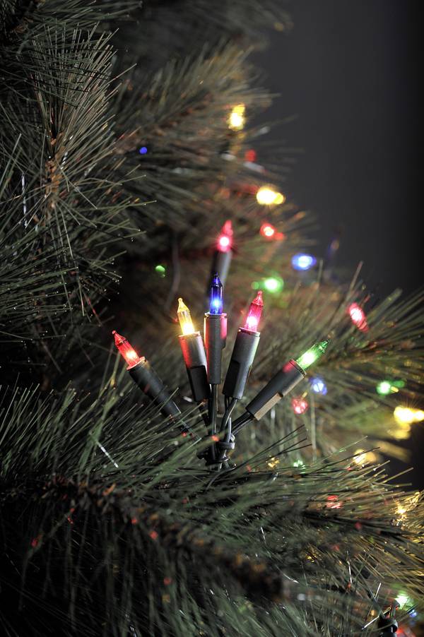 Konstsmide 6303-500 Mini-Lichterkette  Innen  netzbetrieben Anzahl Leuchtmittel 50 LED Mehrfarbig Beleuchtete Länge: 7.35 m