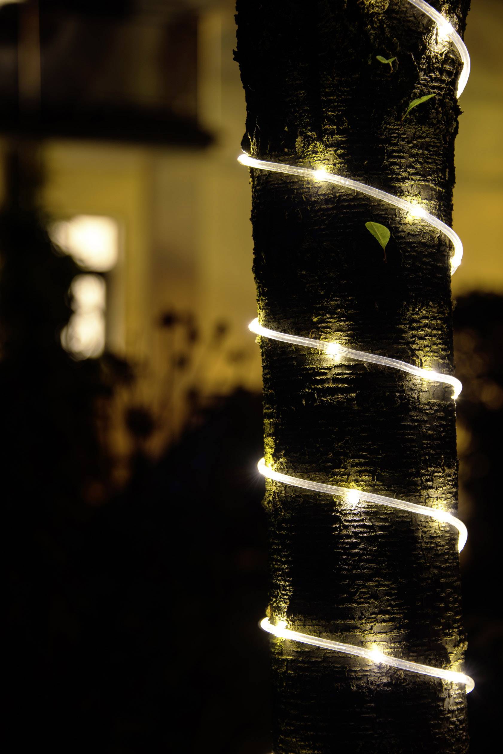 Ein Baumstamm, der mit einer Lichterkette umwickelt ist, die in der Nacht leuchtet. Im Hintergrund ist schwach ein beleuchtetes Fenster zu sehen.