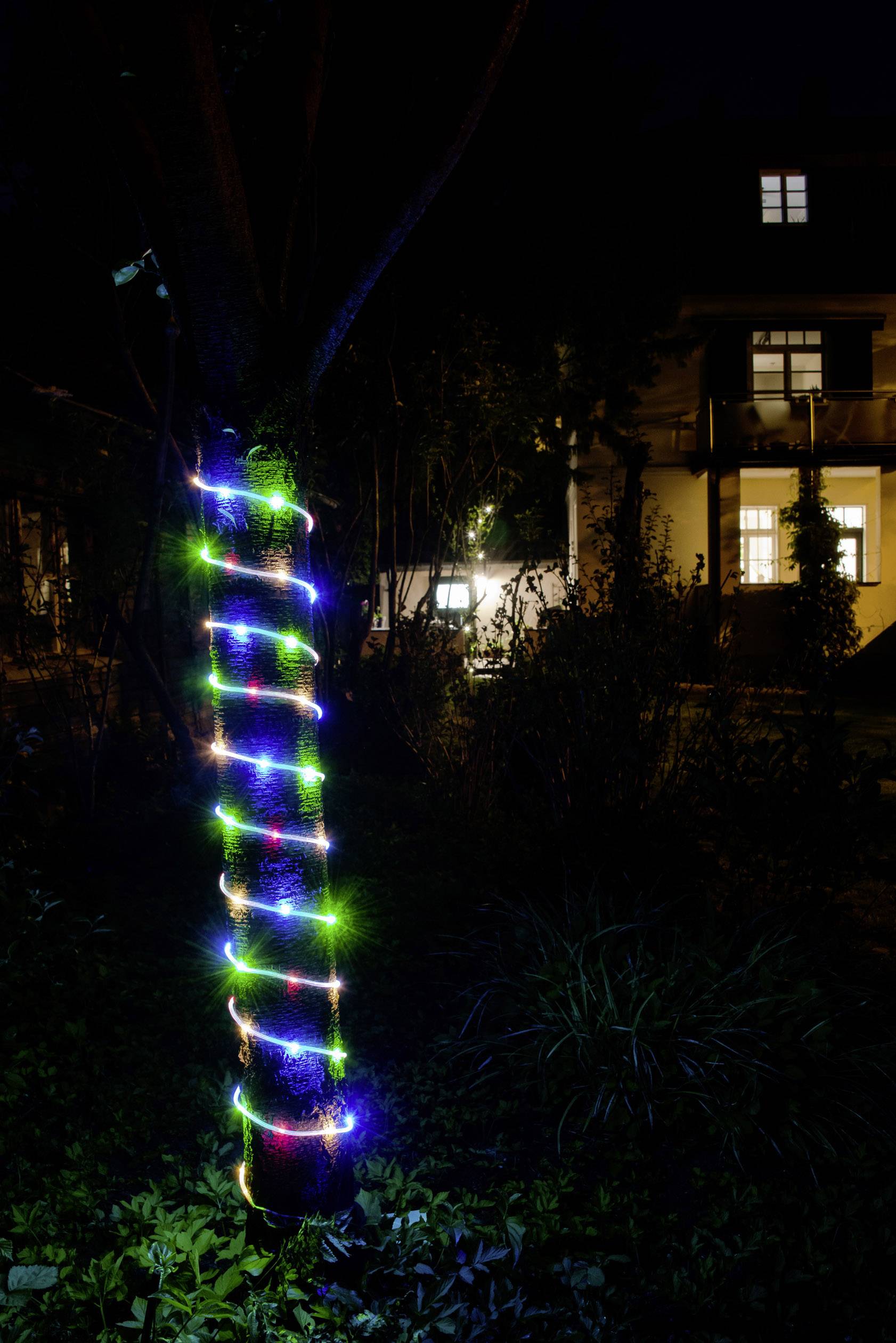 Ein Baumstamm bei Nacht, umwickelt mit bunten, leuchtenden Lichterketten. Im Hintergrund ist ein beleuchtetes Haus zu sehen.