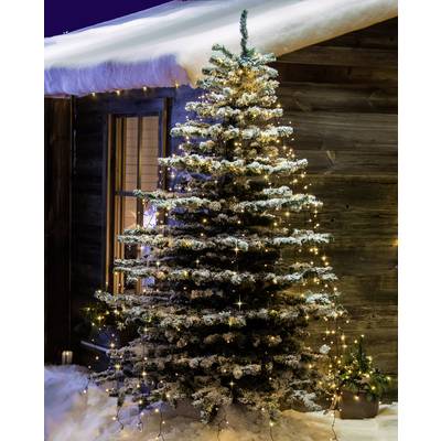 400 (A kaufen E Anzahl 6321-810 Weihnachtsbaum-Beleuchtung Baum netzbetrieben EEK: LED Leuchtmittel Außen Konstsmide G) - Berns