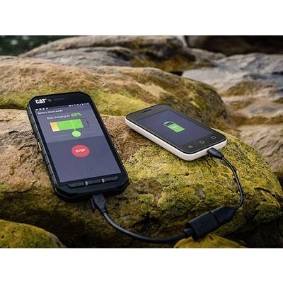 CAT S41 32 GB Schwarz 12.7 cm (5 Zoll) Outdoor Smartphone-5