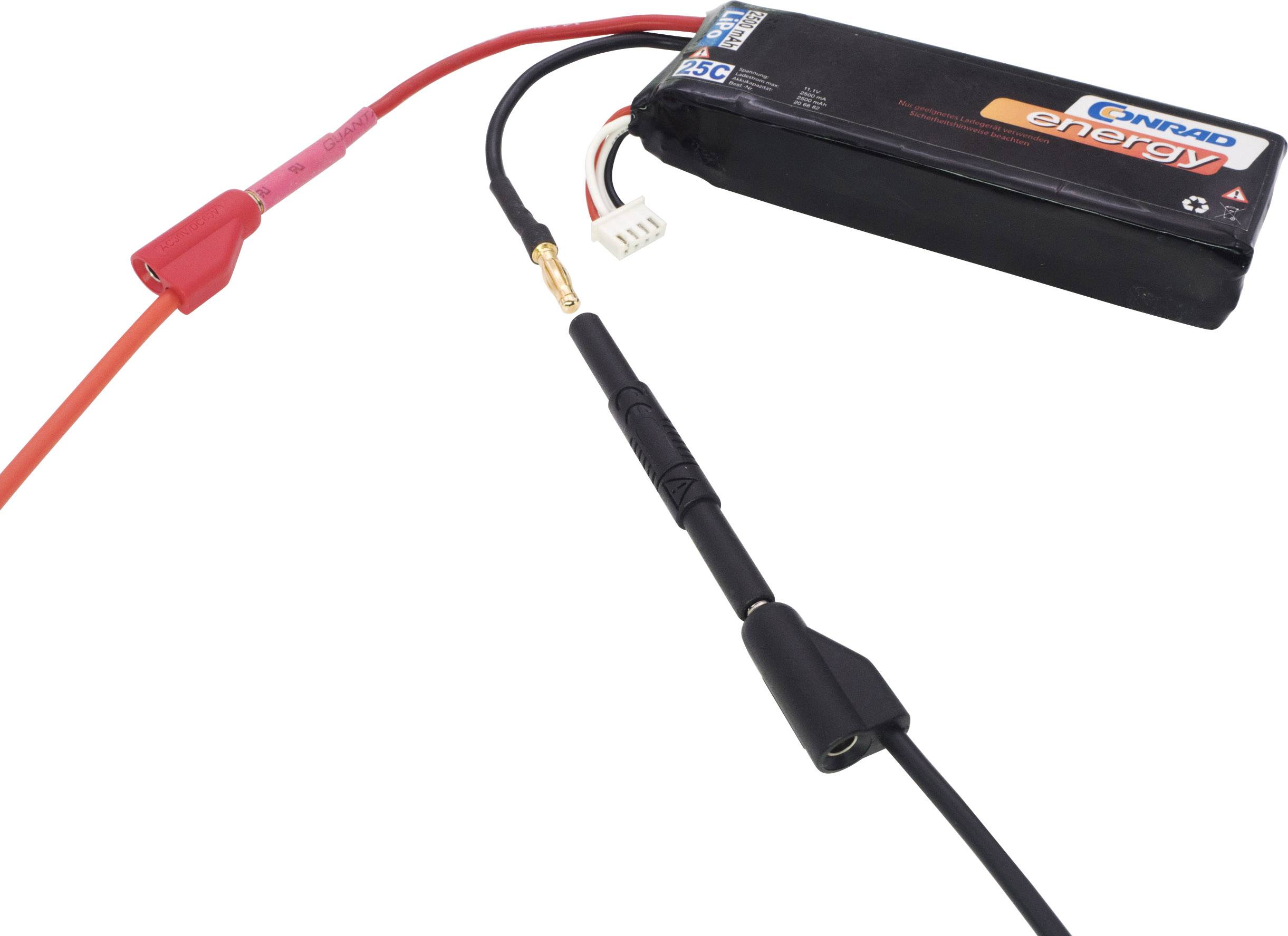 Ein schwarzer Akku mit mehreren Kabeln und Anschlüssen. Eines der Kabel ist rot und endet in einem kleinen Stecker.