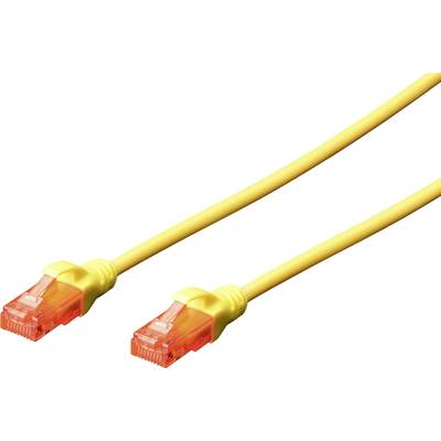 Zwei gelbe Netzwerkkabel mit roten Steckern, die für den Datentransfer zwischen Geräten genutzt werden können.