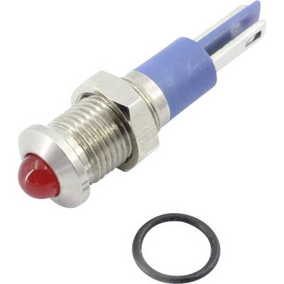 Ein roter Druckknopfschalter und ein schwarzer Dichtungsring. Der Schalter hat ein blaues Kunststoffgehäuse und ein silbernes Metallgewinde.