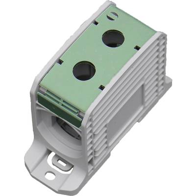 Elektronische Komponente mit grünem Steckverbinder und zwei Anschlüssen auf weißem Hintergrund.