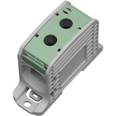 Graues elektrisches Klemmmodul mit zwei grünen Kabeleingängen, rechteckige Form und Befestigungslasche unten.