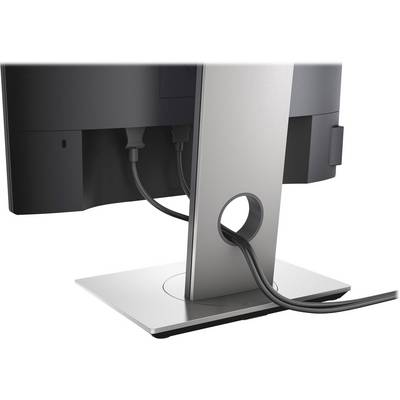 Dell P1917S LCD-Monitor EEK D (A - G) 48.3 cm (19 Zoll) 1280 x 1024 Pixel 5:4 8 ms HDMI®, DisplayPort, VGA, USB-A (USB 2-8