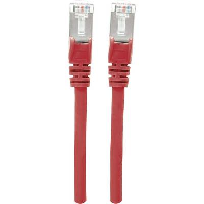 Rotes Ethernet-Kabel mit zwei RJ45-Steckern an beiden Enden, verwendet zur Datenübertragung in Netzwerken.