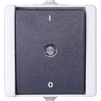 Schalter mit schwarzem Kippschalter in der Mitte, darauf weiße Symbole: 'I' für Ein und 'O' für Aus.
