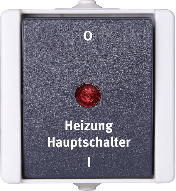 Kopp 541356004 1 Stück Feuchtraum-Schalterprogramm Komplett Heizungs-Notschalter proAQA Grau 1 St.