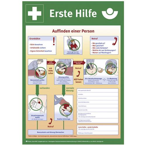 SafetyMarking 43.2914 Aushang Anleitung zur Ersten Hilfe bei Unfällen Kunststoff (B x H) 400 mm x 560 mm 1 St.