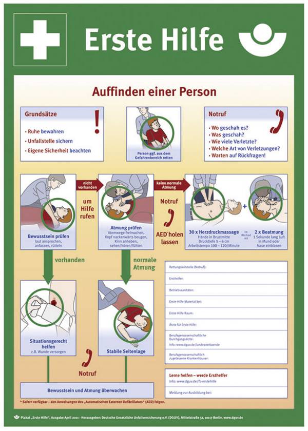 SafetyMarking 43.2914 Aushang Anleitung zur Ersten Hilfe bei Unfällen Kunststoff (B x H) 400 mm x 560 mm    1 St.