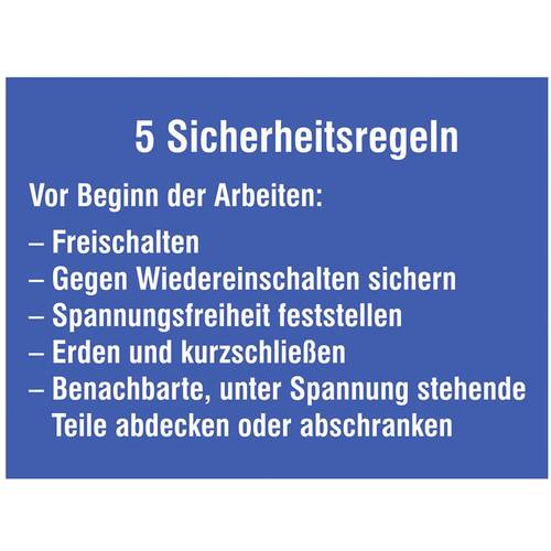 SafetyMarking 43.1311 Hinweisschild Sicherheitsregeln Kunststoff (B x H) 200 mm x 120 mm 1 St.