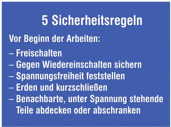 SafetyMarking 43.1311 Hinweisschild Sicherheitsregeln Kunststoff (B x H) 200 mm x 120 mm    1 St.