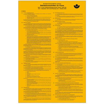 SafetyMarking 43.2936 Aushang Berufsgenossenschaft Betriebsvorschriften für Krane Kunststoff (B x H) 310 mm x 475 mm    