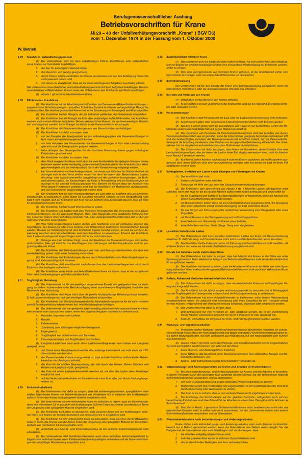 SafetyMarking 43.2936 Aushang Berufsgenossenschaft Betriebsvorschriften für Krane Kunststoff (B x H) 310 mm x 475 mm    1 St.