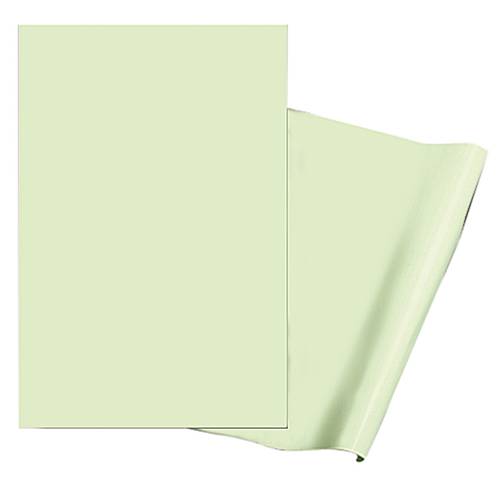 Folienzuschnitt Folie SafetyMarking 38.7520 (B x H) 620 mm x 420 mm 1 St.