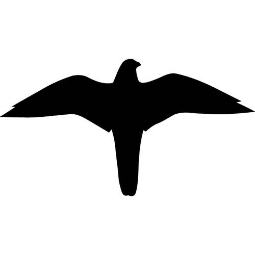 Thumbnail - SafetyMarking 21.5875 Hinweisschild Falke Folie selbstklebend (B x H) 259 mm x 139 mm 1 St.