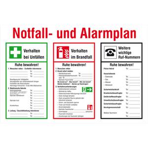 Safetymarking 43 A5975 Aushang Brandschutz Notfall Und Alarmplan Kunststoff B X H 600 Mm X 400 Mm 1 St Kaufen
