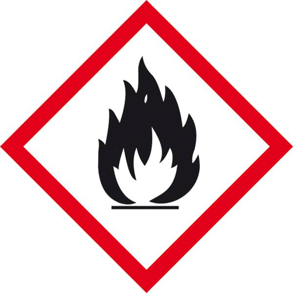 SafetyMarking 21.B1013 GHS-Gefahrenpiktogramm 02 Flamme Folie selbstklebend (B x H) 100 mm x 100 mm    1 St.