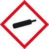 SafetyMarking 39.B1015 GHS-Gefahrenpiktogramm 04 Gasflasche Polyester (B x H) 50 mm x 50 mm 1 St.