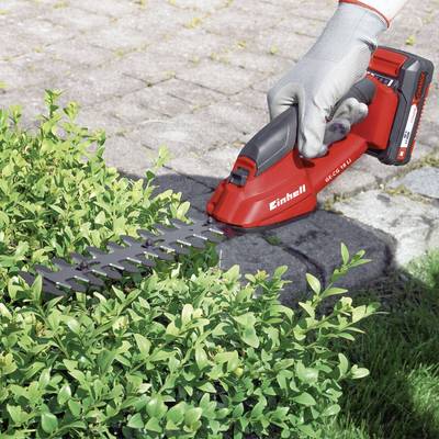 Eine Person in Arbeitshandschuhen schneidet mit einer roten Heckenschere einen grünen Busch.