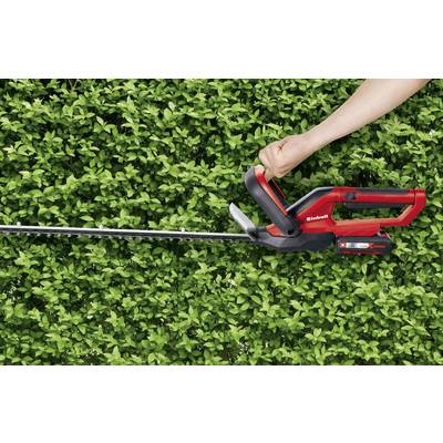 Eine Person benutzt eine rote, elektrische Heckenschere, um eine grüne Hecke zu trimmen. Die Hecke ist dicht und gut gepflegt.