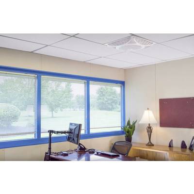 Büro mit Schreibtisch, Stuhl, Computerbildschirm, Lampe und Pflanze. Große Fenster bieten Blick ins Freie mit Bäumen und Rasenfläche.