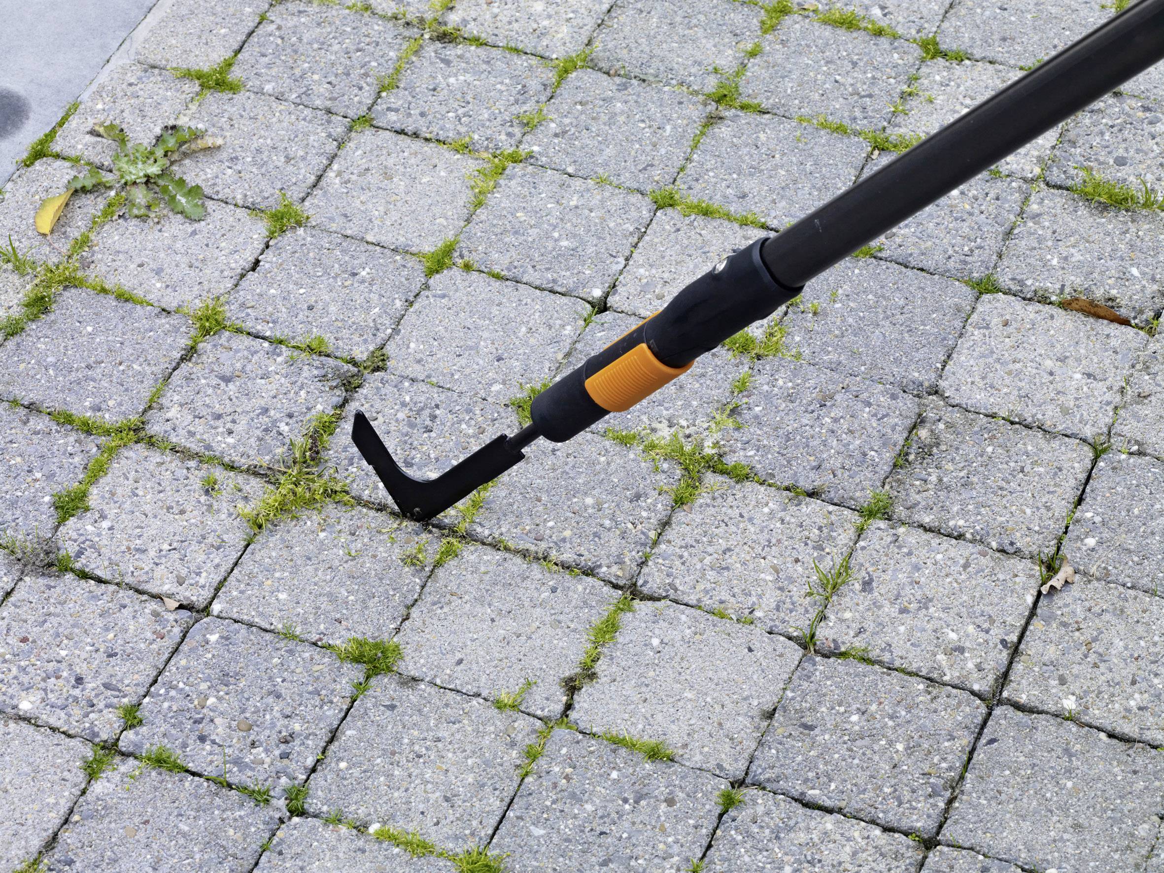 Ein Unkrautjäten-Werkzeug wird benutzt, um Unkraut zwischen Betonpflastersteinen in einem Gehweg zu entfernen.