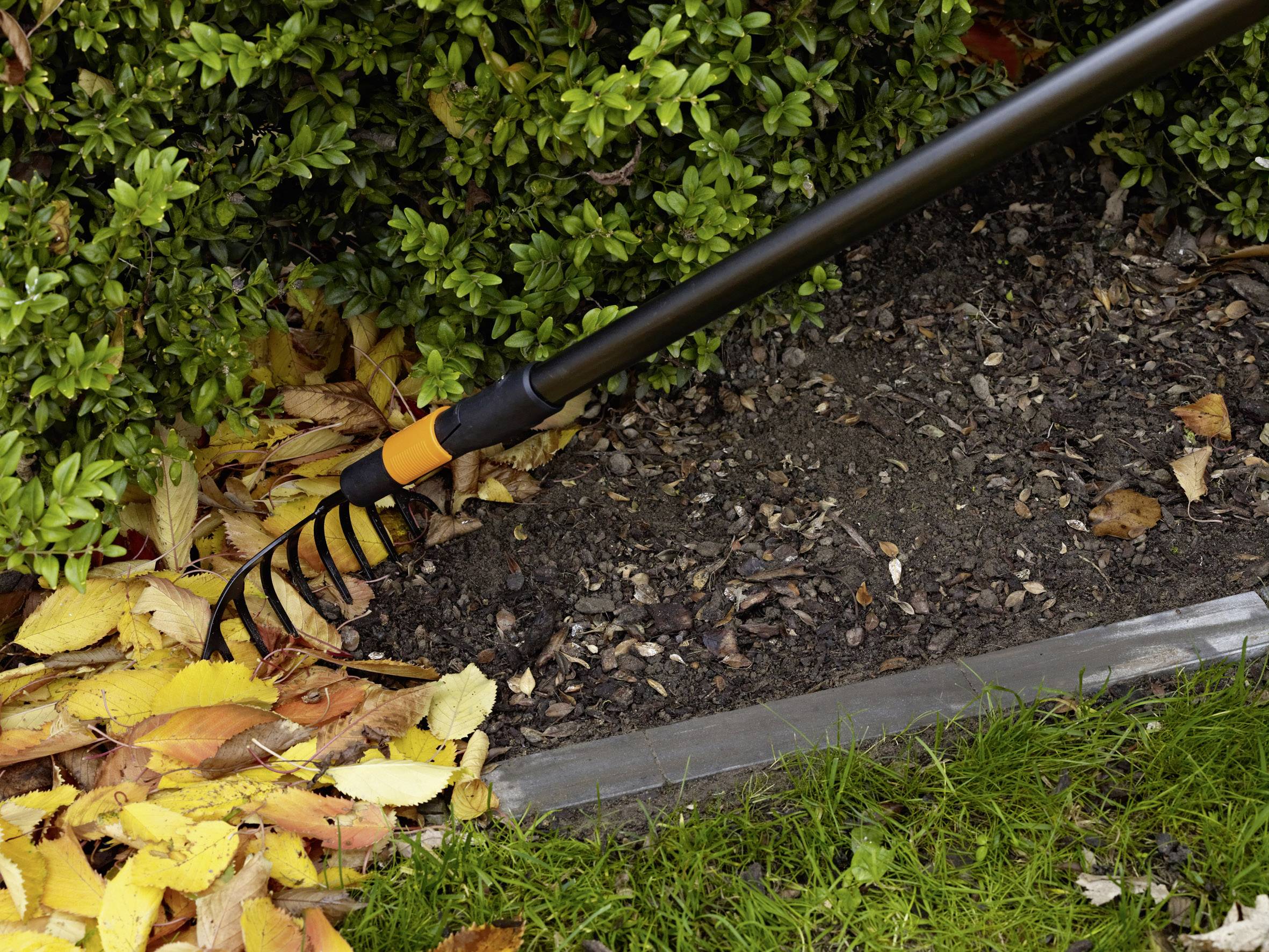 Eine Harke sammelt gelbe und orangefarbene Blätter neben einem grünen Busch in einem Gartenbeet.