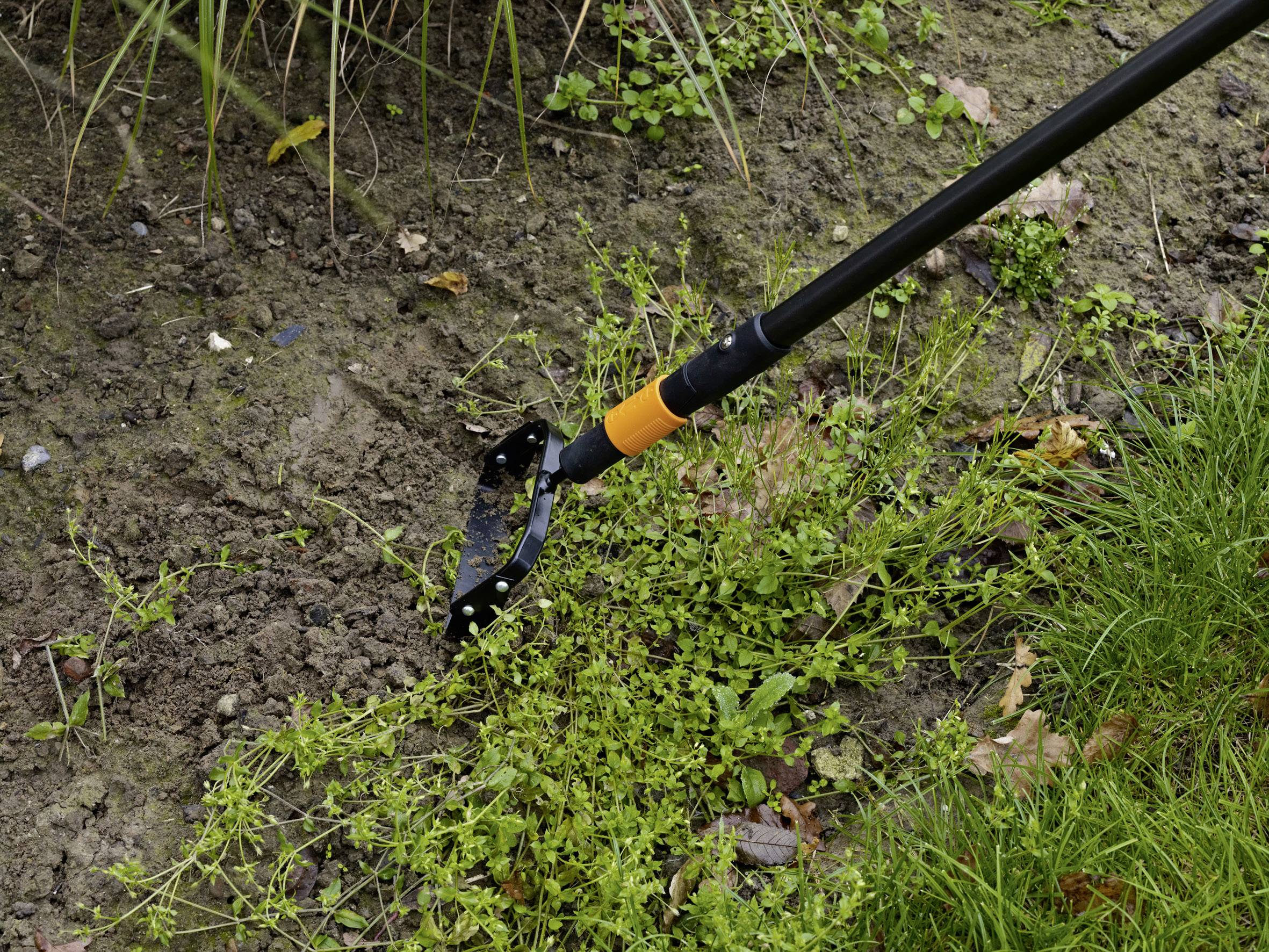 Eine Person entfernt Unkraut aus einem Garten mit einem Unkrautstecher. Der Boden ist erdig mit grünen Pflanzen und Gras drumherum.