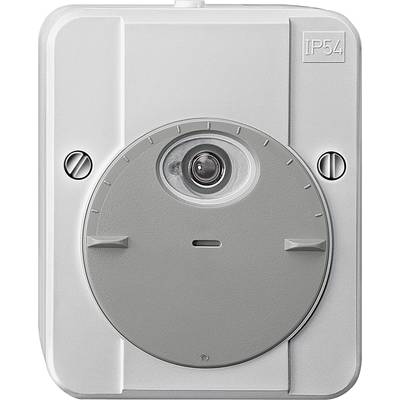 Ein grauer elektronischer Schalter mit Schutzart IP54, erkennbar an einer Linse und zwei seitlichen Schrauben auf einer rechteckigen Platte.