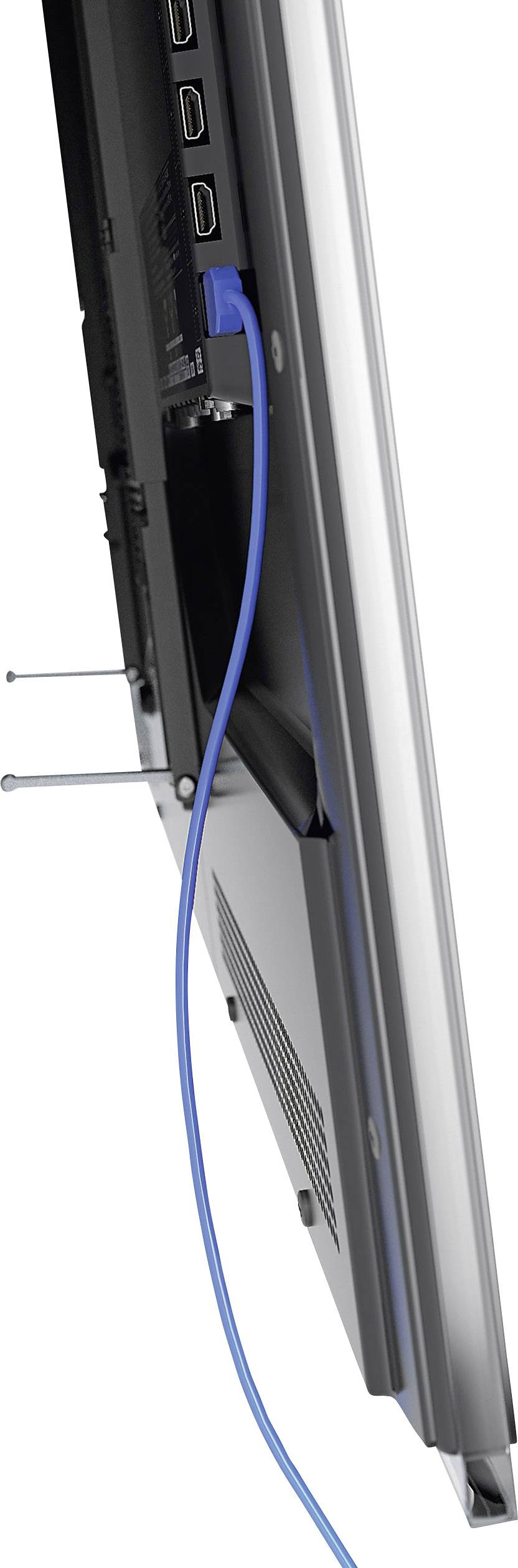 Ein blauer Netzwerkkabel ist in die seitliche Anschlussleiste eines Monitors oder Fernsehgeräts eingesteckt.