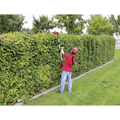 Eine Person schneidet mit einem elektrischen Heckenschneider eine hohe grüne Hecke. Sie trägt einen roten Helm und Schutzbrille.