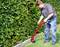 Eine Person trimmt mit einem Elektroschneider das Gras entlang einer Hecke in einem Garten.