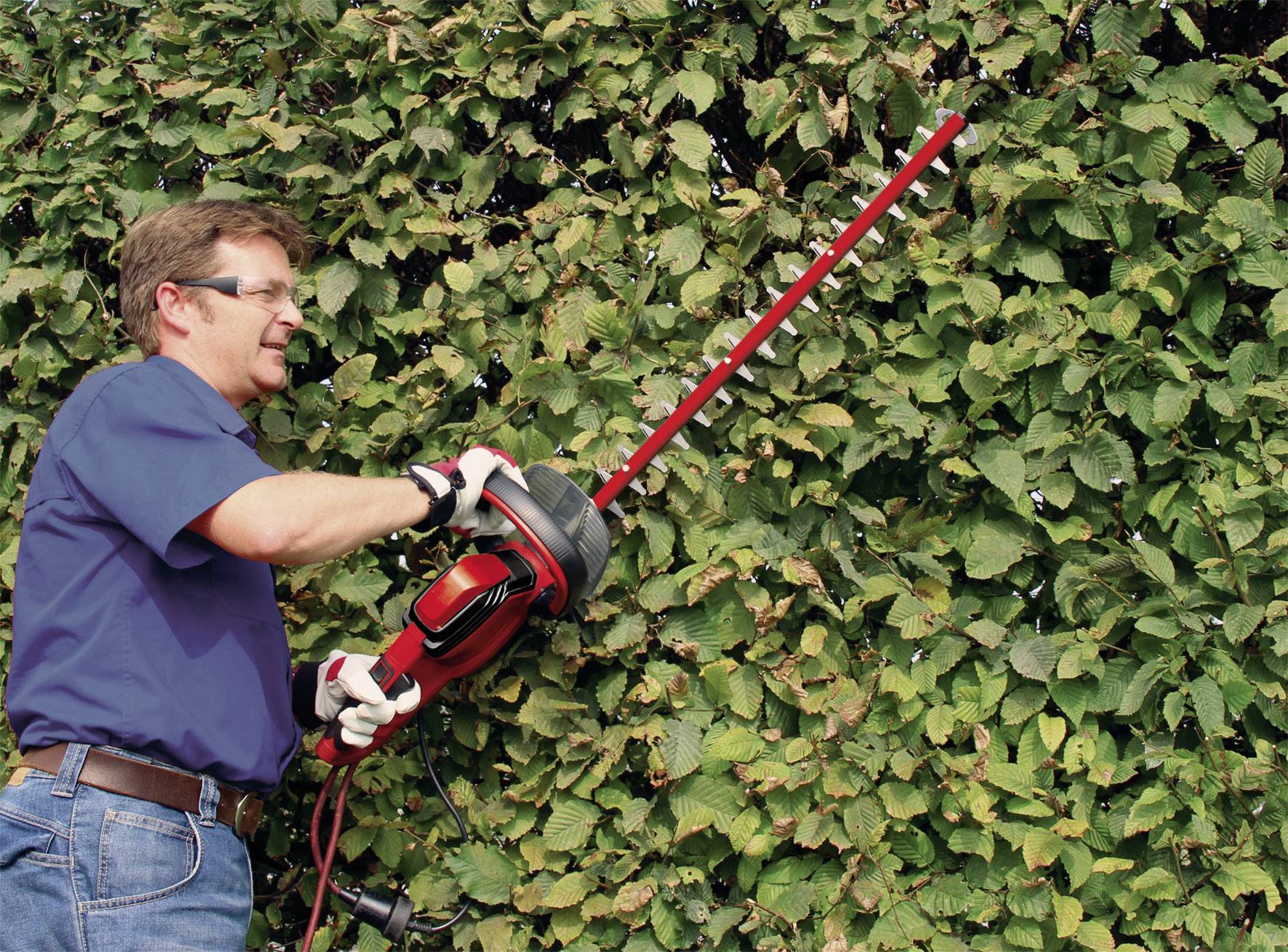 Ein Mann schneidet mit einer elektrischen Heckenschere eine grüne Hecke.