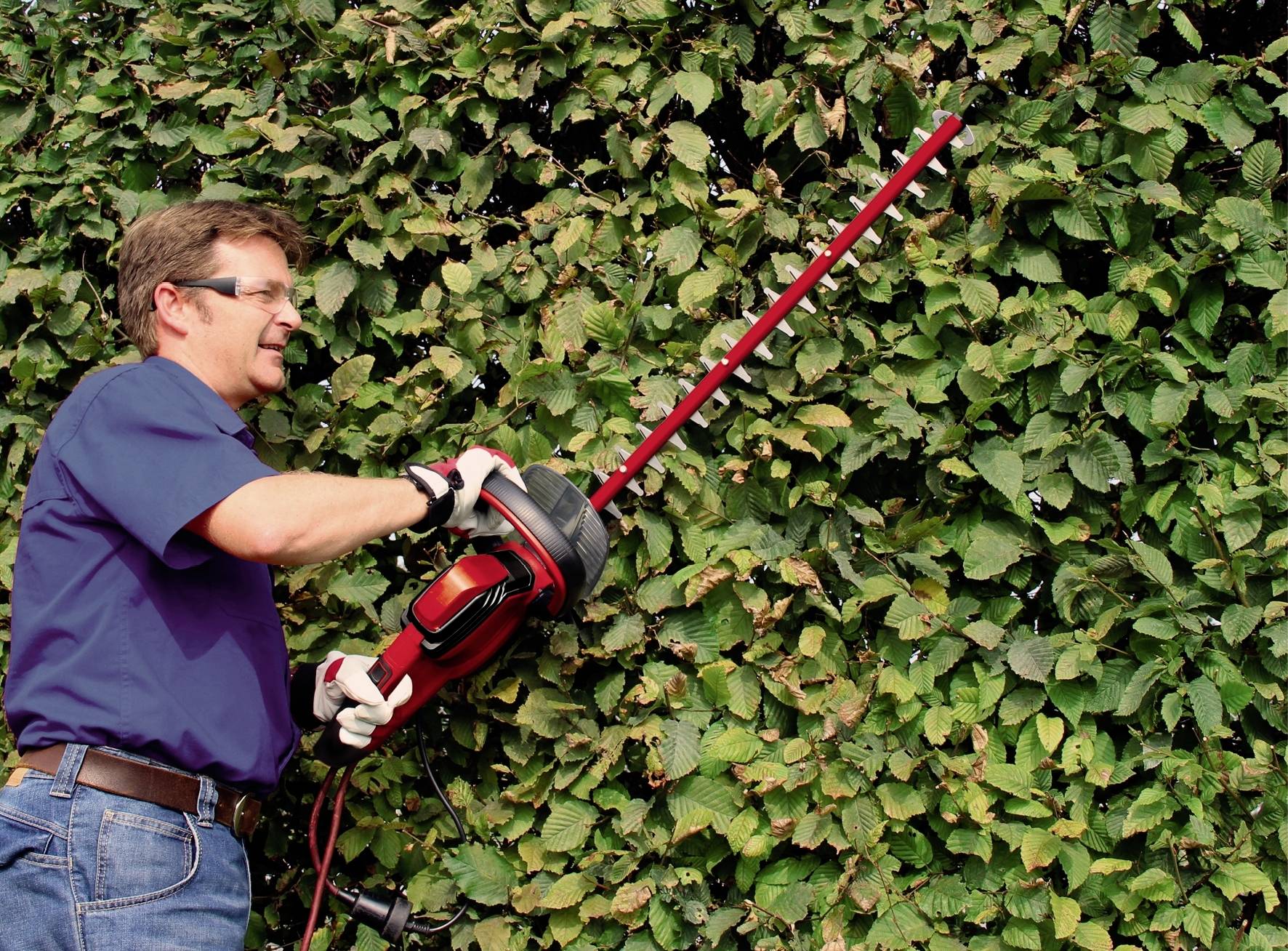 Ein Mann benutzt eine elektrische Heckenschere, um eine grüne, dichte Hecke im Freien zu trimmen.