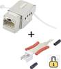 RJ45-Einbaumodul mit Verriegelungsfunktion / inkl. Entriegelungswerkzeug Keystone CAT 6a Renkforce KSV10 + Tooling