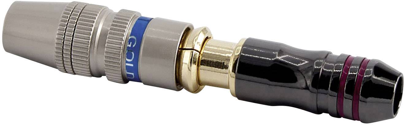 Ein goldener Stecker mit blauem Ring und schwarzen, geriffelten Griff für Audio- oder Videoverbindungen.