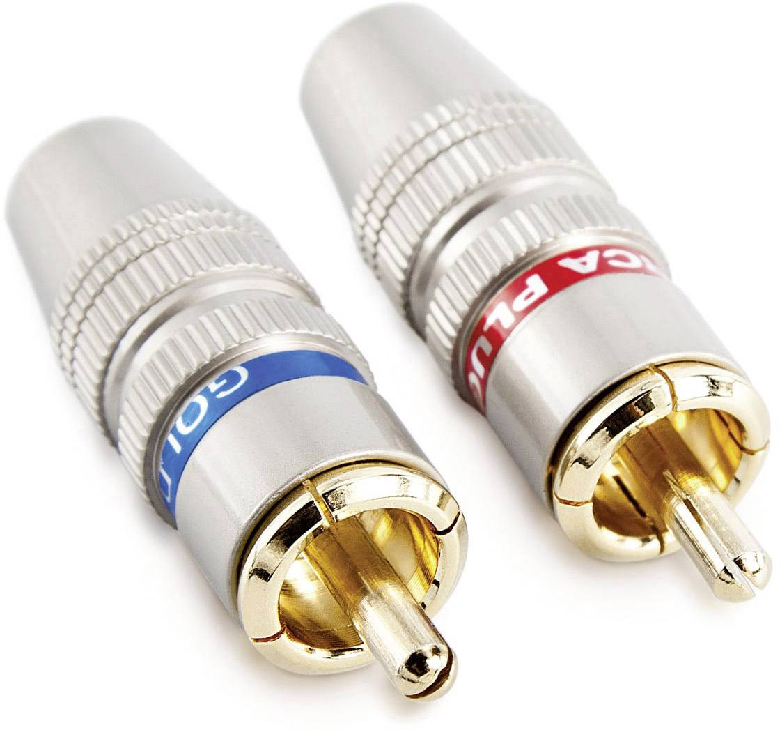 Zwei Cinch-Stecker, links mit blauem Ring und 'Audio', rechts mit rotem Ring. Sie sind für die Übertragung von Audio-Signalen.