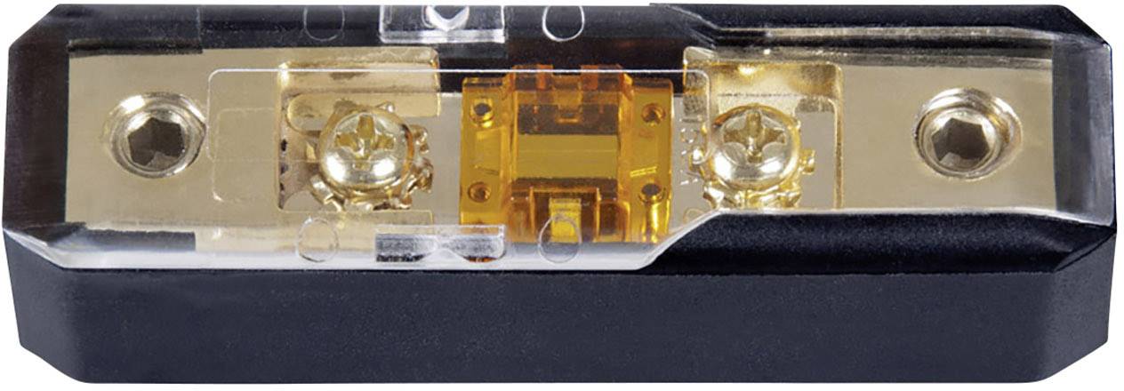 Ein durchsichtiger Sicherungshalter mit einer eingebauten Sicherung, zwei Schrauben zur Befestigung und goldenem Innenkontakt.