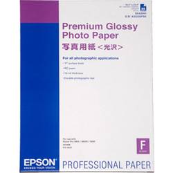 Image of Epson Premium Glossy Photo Paper C13S042091 Fotopapier 225 g/m² 25 Blatt Hochglänzend