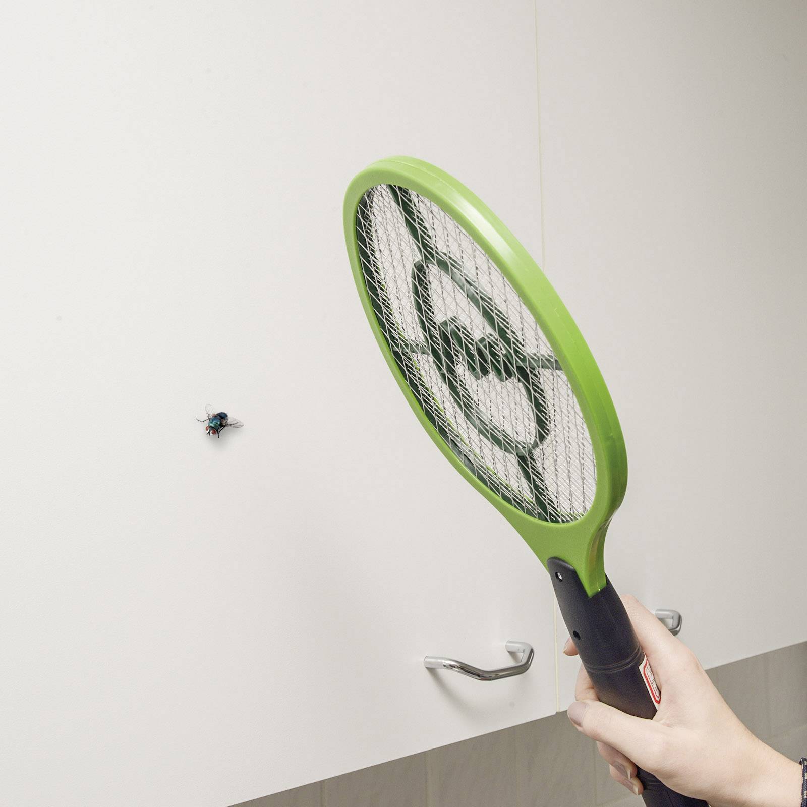 Eine Person hält einen elektrischen Fliegenfänger und zielt auf eine Fliege, die an einer grünen Wand sitzt.