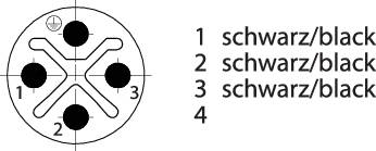 Schematische Darstellung eines Steckers mit sechs Verbindungen, nummeriert von 1 bis 4; mehrere sind als 'schwarz/black' markiert.