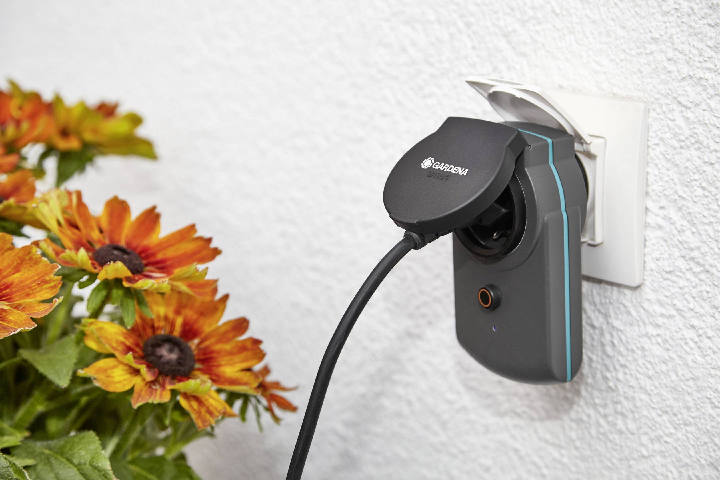 Eine smarte Steckdose ist an der Wand montiert und mit einem Kabel verbunden. Daneben sind orange Blumen sichtbar.