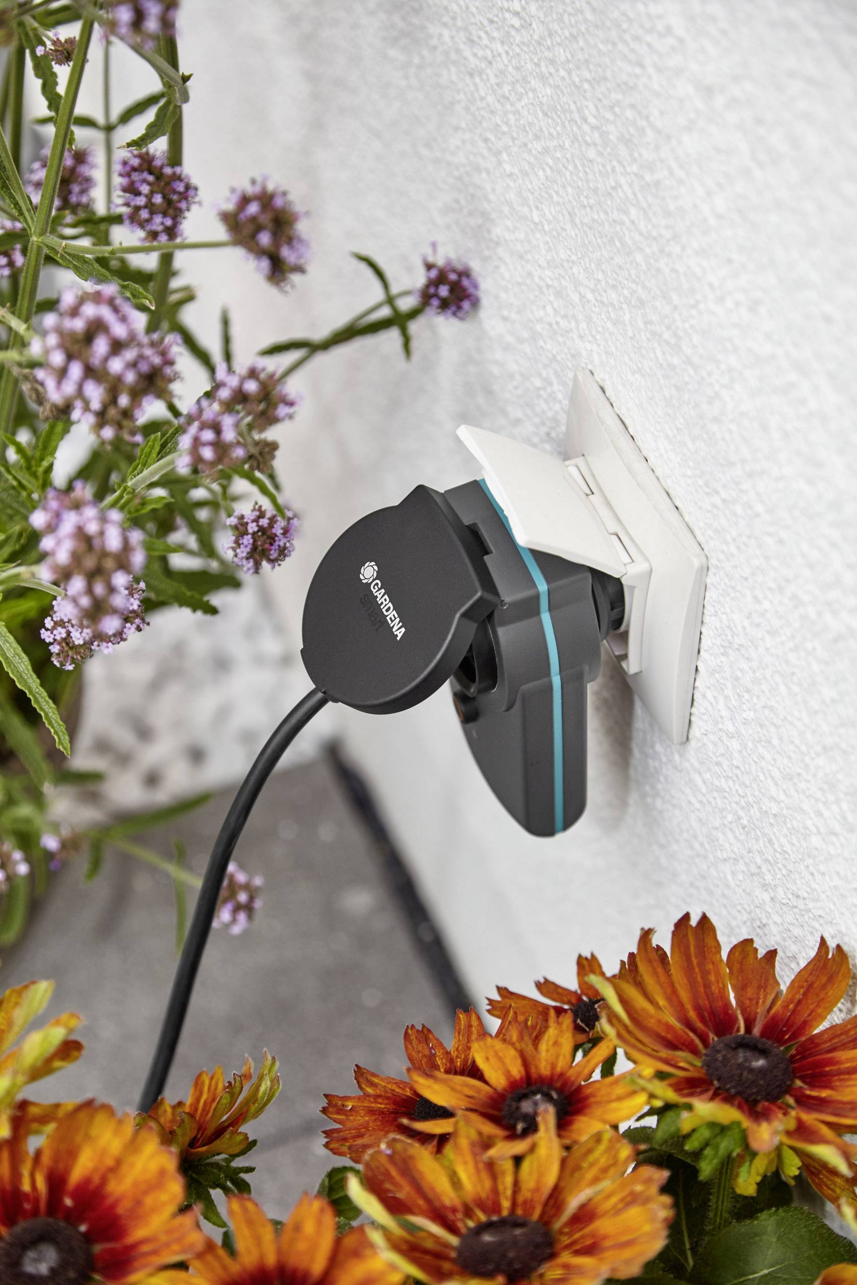 Steckdose mit einem eingesteckten Steckdosenadapter, umgeben von blühenden orangefarbenen und lila Blumen an einer weißen Wand.