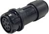 Bulgin PXP4011/03S/5055 Rundsteckverbinder Kupplung, gerade Gesamtpolzahl: 3 Serie (Rundsteckverbinder): Buccaneer 4000 1 St.