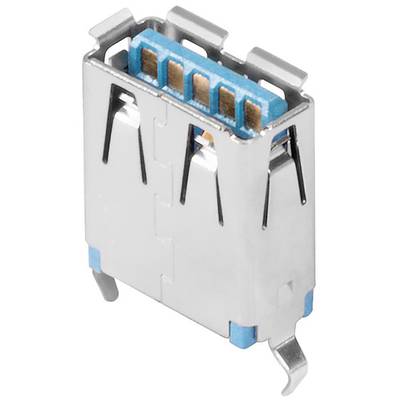 Ein USB-Anschluss mit rechteckigem Metallgehäuse, blauer Kunststoffinnenseite und fünf Kupferkontakten sichtbar.