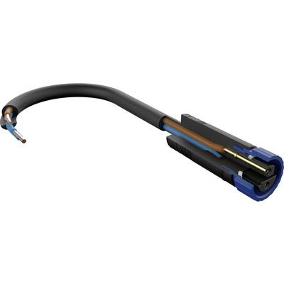 Ein dreipoliges Kabel mit offenem Ende zeigt die Innenstruktur und endet in einem blauen und schwarzen Stecker an einem anderen Ende.