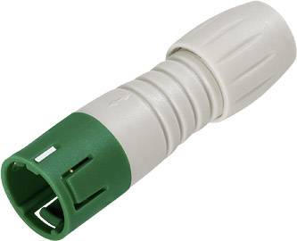binder 99 9209 470 04 Subminiatur-Rundsteckverbinder Stecker, gerade Gesamtpolzahl: 4 1 St.